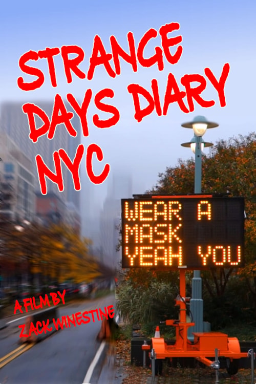 Strange Days Diary NYC poster